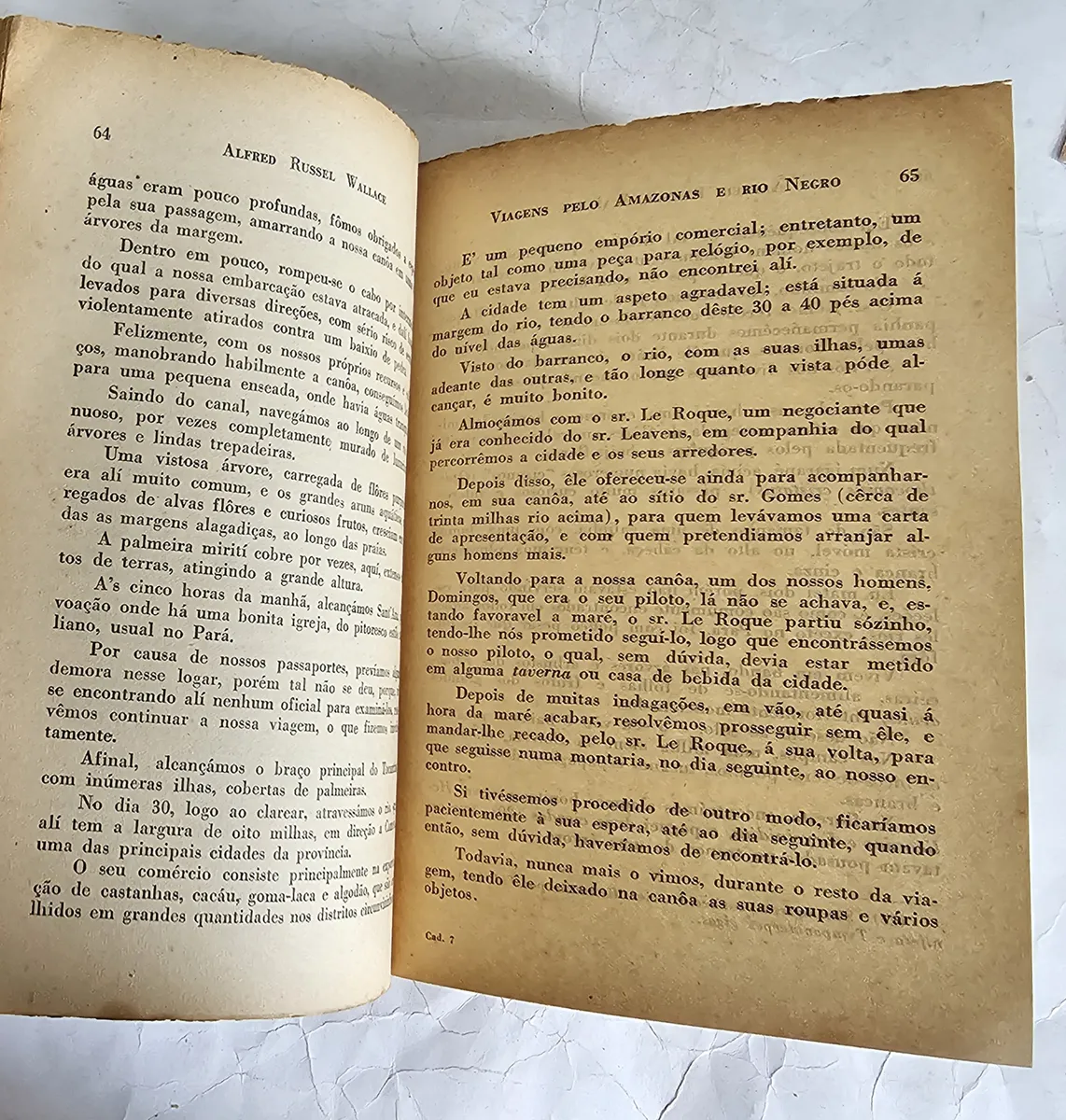 Viagens Pelo Amazonas E Rio Negro - Image 3