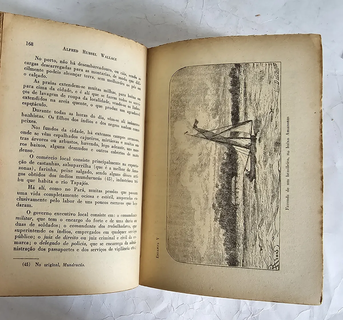 Viagens Pelo Amazonas E Rio Negro - Image 4