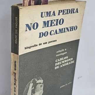 Uma Pedra no Meio do Caminho