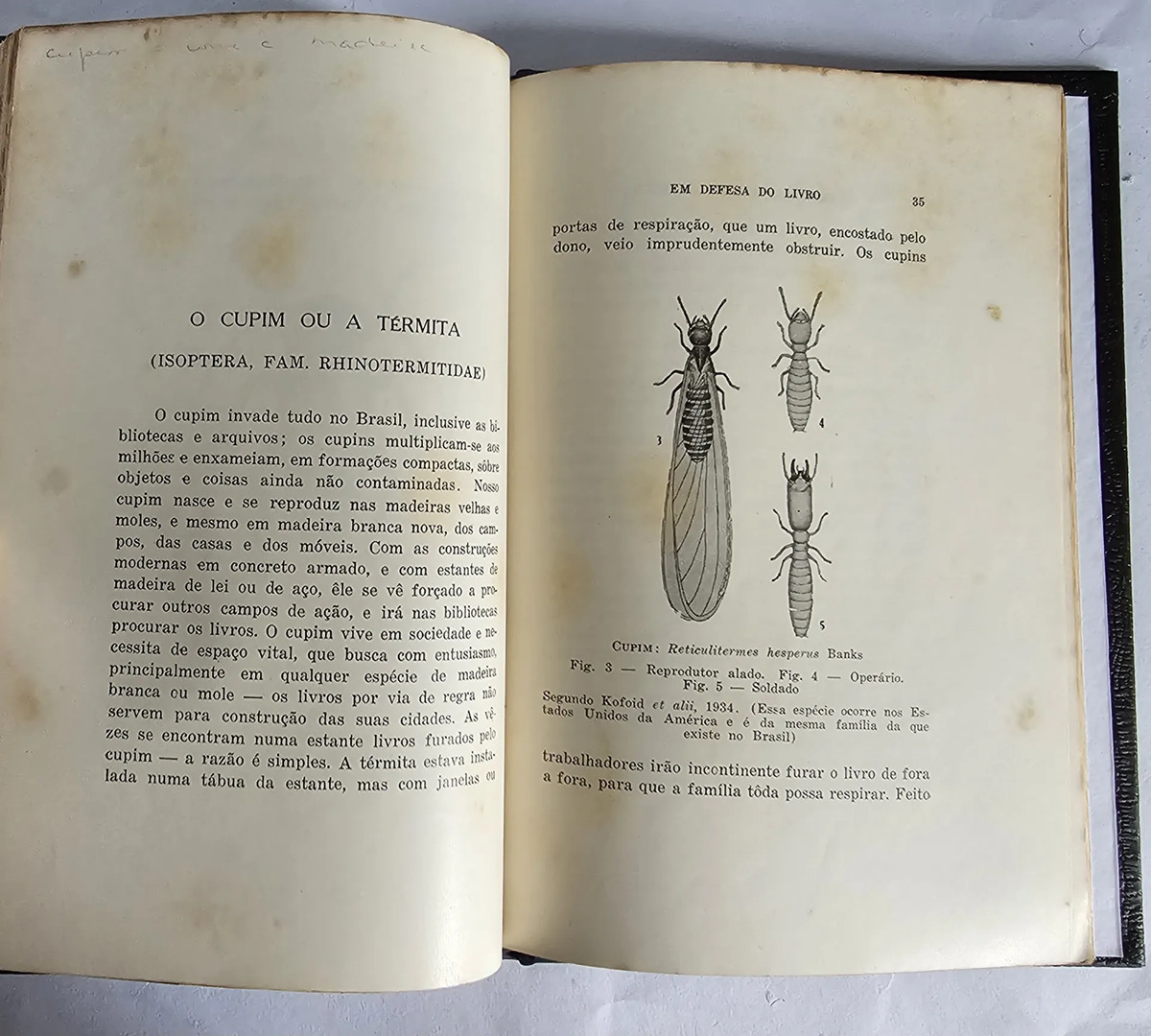 Em Defesa do Livro - Image 4