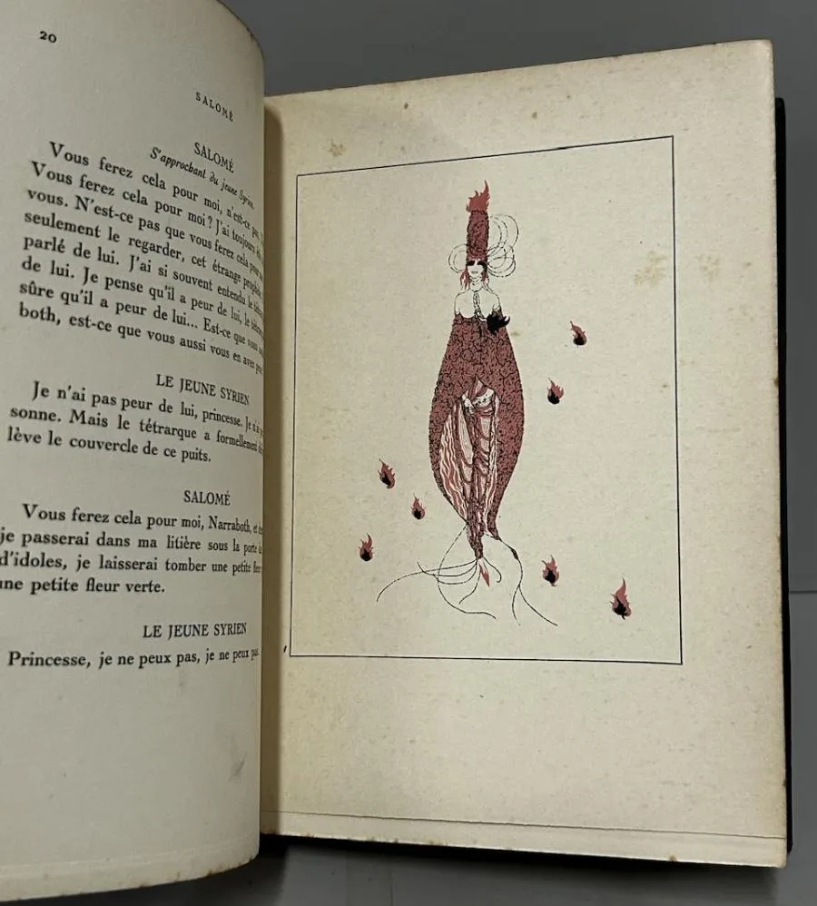 Salomé - Ilustrado - Image 4